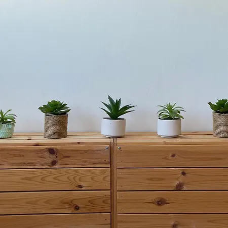 Superb Loft 899 Apartment Porto